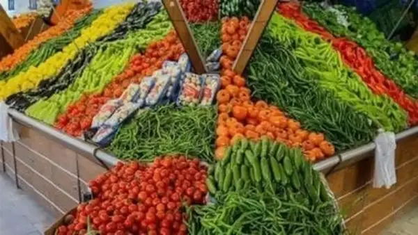 انخفاض ملموس في أسعار الخضروات والفاكهة بكفر الشيخ يؤثر إيجابيًا على ميزانيات الأسر الخميس 4 ديسمبر 2025