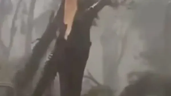 انقطاع الكهرباء في ساو باولو يؤثر على حياة 4 ملايين شخص ويكشف تحديات البنية التحتية برقياً