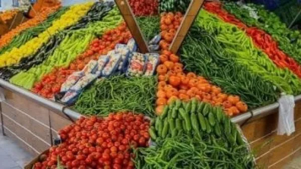انهيار سعر الطماطم يقود تراجع أسعار الخضراوات والفاكهة في أسواق كفر الشيخ