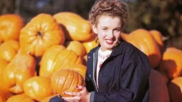 بذور اليقطين.. كيف تساعد مرضى السكر على ضبط مستويات الجلوكوز في الدم؟