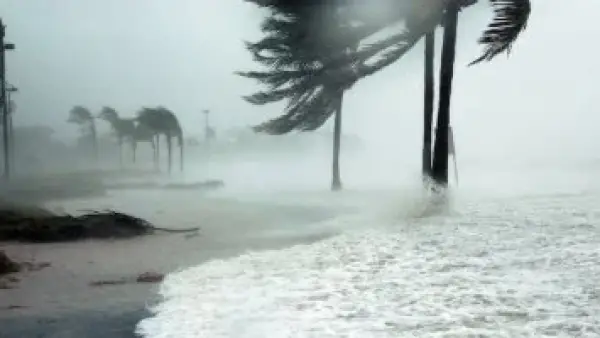 بسبب العواصف القوية.. كاليفورنيا تعلن حالة الطوارئ لمواجهة آثار المنخفض الشتوي الحالي