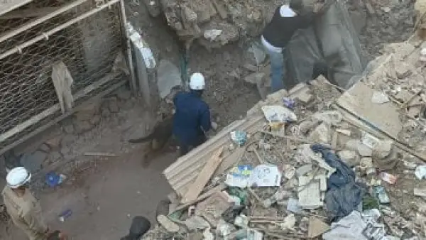 بسبب عقار إمبابة.. الكلاب البوليسية تبحث عن مفقودين تحت ركام المبنى المنهار اليوم