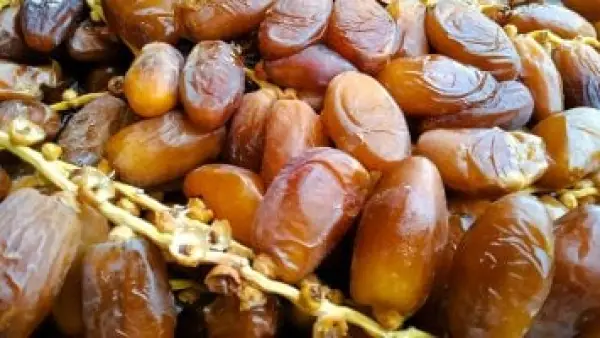 بشائر بـ 50 جنيها.. أسعار البلح السيوي في مطروح تزامناً مع نهاية العام