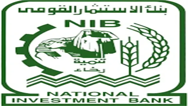 بشروط وزارة التخطيط.. بنك الاستثمار القومي يعلن فتح باب التعيين في 4 تخصصات جديدة