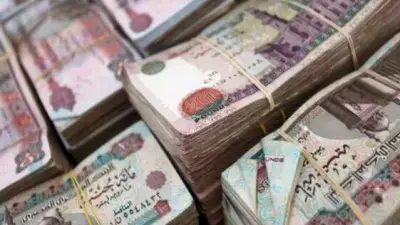 بشريات للموظفين.. موعد صرف رواتب ديسمبر في حسابات العاملين بالدولة خلال ساعات