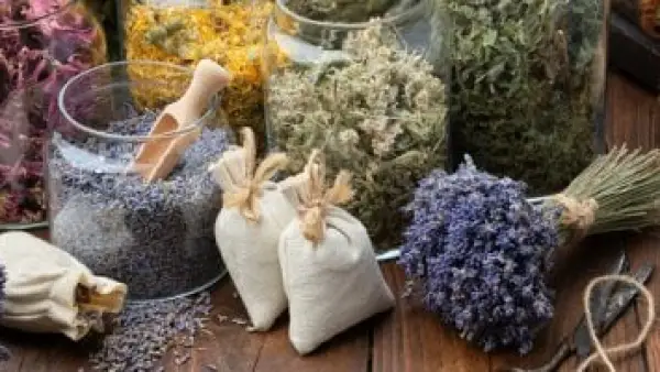 بعيدًا عن الأدوية.. عطور طبيعية أثبتت فعاليتها في تقوية الثقة وتهدئة القلق.