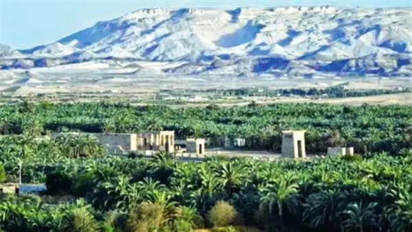 بـ 1500 جنيه.. تفاصيل رحلة الوادي الجديد من وزارة الشباب والرياضة للأفواج الجديدة