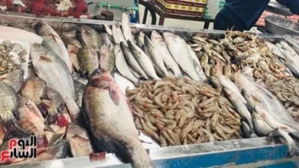بفارق طفيف.. أسعار السمك بأسواق مطروح تسجل 160 جنيهًا لنوع البوري اليوم