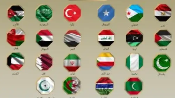 بيان مشترك.. تحرك دولي واسع يرفض اعتراف إسرائيل بإقليم أرض الصومال المنفصل