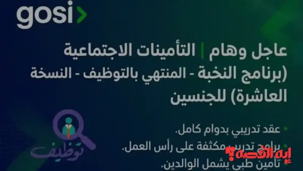 تأمينات تعلن عن فتح باب القبول في برنامج النخبة للتوظيف واستقبال طلبات المتقدمين خلال إسبوعين