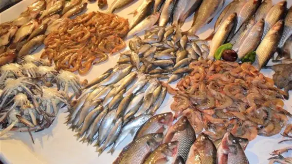 تباين سعر السمك اليوم في سوق العبور: انخفاض الكابوريا مقابل ارتفاع البلطي والجمبري