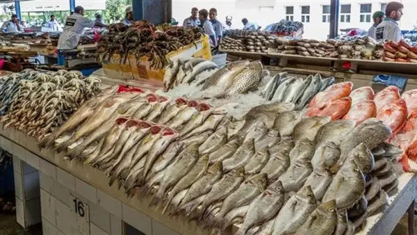 تباين في سعر السمك بسوق العبور: انخفاض الكابوريا مقابل ارتفاع البلطي والمكرونة