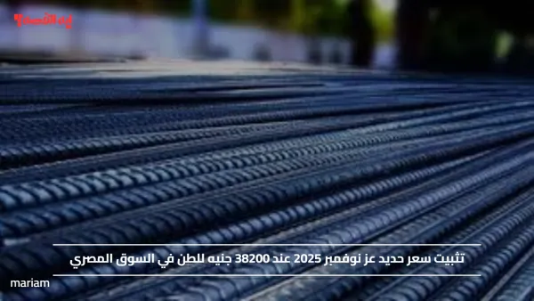 تثبيت سعر حديد عز نوفمبر 2025 عند 38200 جنيه للطن في السوق المصري