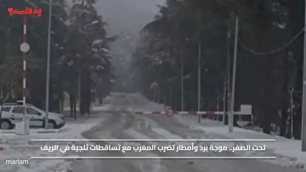 تحت الصفر.. موجة برد وأمطار تضرب المغرب مع تساقطات ثلجية في الريف