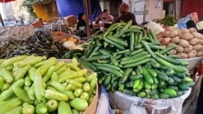 تحديثات الأسعار بالدقهلية.. كم وصل سعر الكيلو في أسواق الخضروات اليوم؟