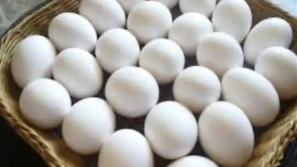 تحديثات الأسواق.. سعر كرتونة البيض الأبيض والأحمر للمستهلك اليوم الأربعاء