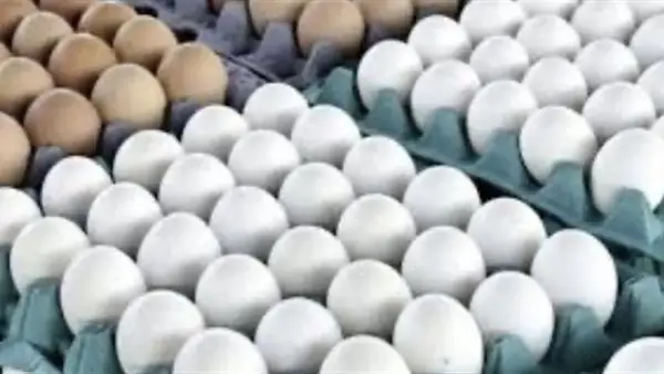 تحديثات الأسواق.. سعر كرتونة البيض الأبيض والأحمر للمستهلك اليوم الخميس 25 ديسمبر