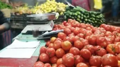 تحديثات الأسواق.. قائمة أسعار الخضار والفاكهة داخل المجمعات الاستهلاكية اليوم الثلاثاء