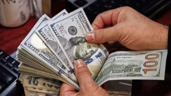 تحديثات الصرف.. سعر الدولار مقابل الجنيه في ختام تعاملات مكاتب الصرافة المصرية
