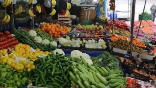 تحديث أسعار الخضار.. كم وصل سعر كيلو الطماطم في أسواق القليوبية اليوم؟