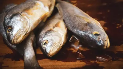 تحديث الأسعار اليومية.. مفاجأة في ثمن كيلو البلطي والسبيط بكافة الأسواق المصرية