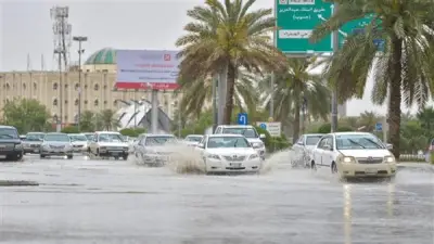 تحذيرات الأرصاد.. برودة شديدة تضرب المحافظات غدًا وظاهرة جوية تحجب الرؤية صباحًا