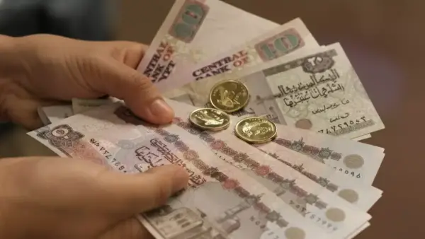 تحذير دار الإفتاء.. حكم التهرب من الضرائب ومصير قارون ينتظر المخالفين شرعًا