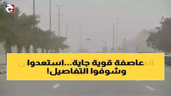 تحذير لـ 12 ساعة.. الأرصاد السعودية توضح مخاطر الضباب الكثيف على حركة المسافرين