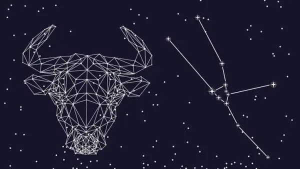 تحذير مالي للثور.. نصائح فلكية هامة لمواليد البرج مع بداية عام 2026