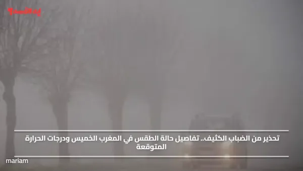 تحذير من الضباب الكثيف.. تفاصيل حالة الطقس في المغرب الخميس ودرجات الحرارة المتوقعة