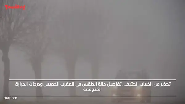 تحذير من الضباب الكثيف.. تفاصيل حالة الطقس في المغرب الخميس ودرجات الحرارة المتوقعة