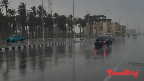 تحذير هام.. سقوط أمطار علي الشمال والقاهرة تسجل 12 درجة 2025