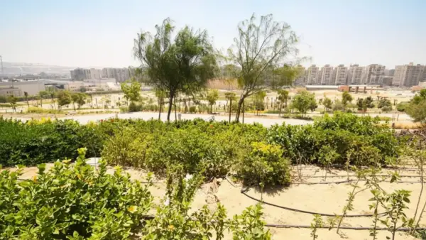 تحويل جذري.. رئيس الصندوق الحضري يكشف قصة تطوير أخطر منطقة عشوائية في مصر