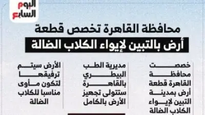 تخصيص قطعة أرض.. قرار جديد من محافظة القاهرة لإيواء الكلاب الضالة بالمنطقة