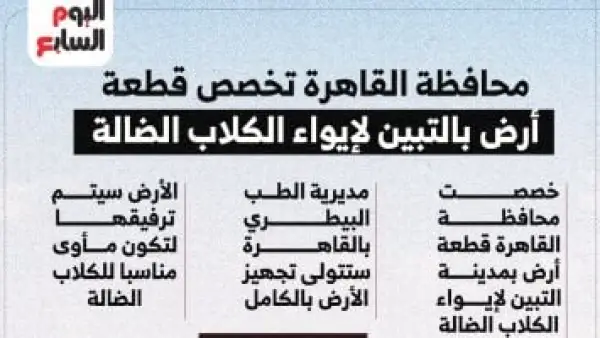 تخصيص قطعة أرض.. قرار جديد من محافظة القاهرة لإيواء الكلاب الضالة بالمنطقة