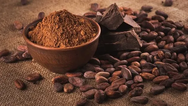 تراجع أسعار الكاكاو عالميًا إلى أدنى مستوى منذ فبراير 2024 وسط توقعات بزيادة فائض المعروض