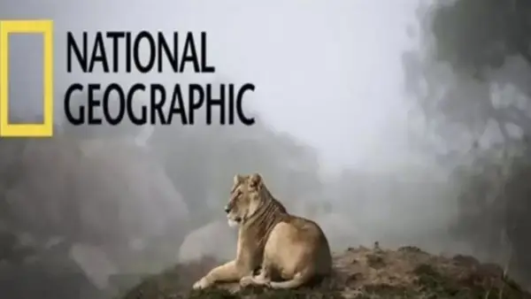 تردد قناة ناشيونال جيوغرافيك 2025 على نايل سات وعرب سات: التغيير الأخير وتأثيره على المشاهدين في الوطن العربي