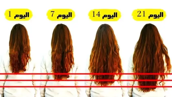 تطويل صاروخي.. اسرع 7 زيوت سحرية لتطويل وتغزير الشعر بسرعه فائقه شعرك هيبقي للركب