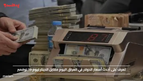 تعرف على أحدث أسعار الدولار في العراق اليوم مقابل الدينار ليوم 19 نوفمبر