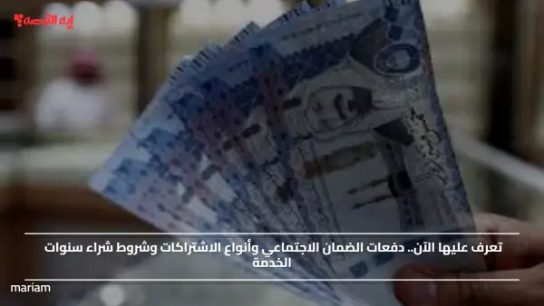 تعرف عليها الآن.. دفعات الضمان الاجتماعي وأنواع الاشتراكات وشروط شراء سنوات الخدمة