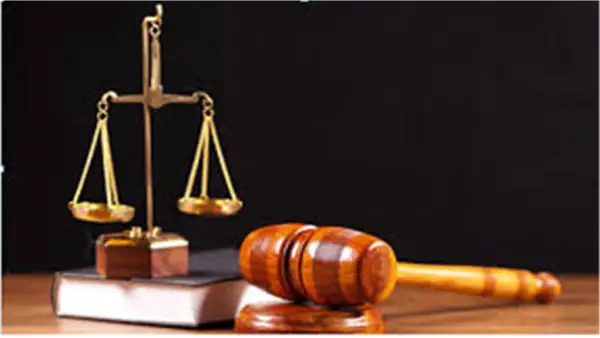 تغريم سيدة 120 ألف جنيه في قنا بسبب محتوى خادش للحياء عبر إنستجرام: رأي قانوني في الحدود القانونية للتعبير الرقمي