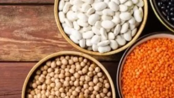 تغير كبير في أسعار البقوليات بكفر الشيخ.. كم بلغ سعر كيلو الفول اليوم؟