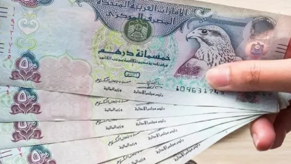 تفاصيل المشهد المصرفي.. استقرار لافت في سعر الدرهم الاماراتي مقابل الجنيه اليوم
