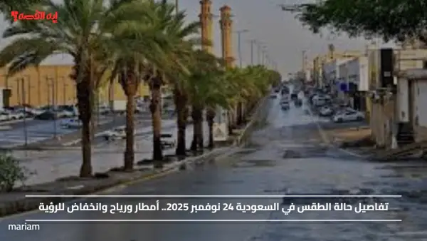 تفاصيل حالة الطقس في السعودية 24 نوفمبر 2025.. أمطار ورياح وانخفاض للرؤية
