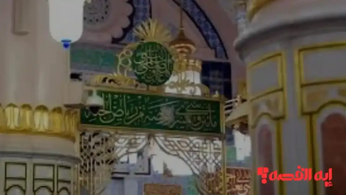 تفاصيل مهمة.. “شؤون الحرمين” تحدد مواعيد زيارة الروضة الشريفة 1447 للرجال والنساء