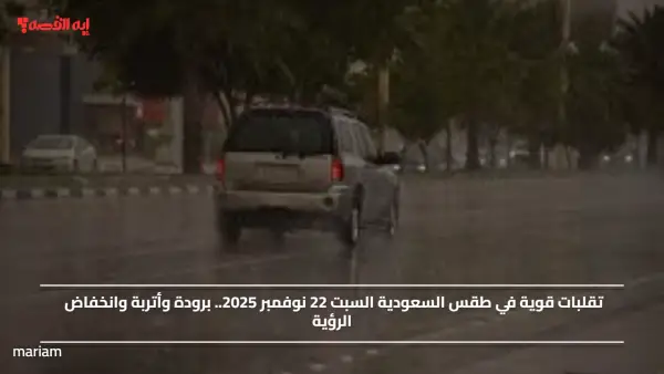 تقلبات قوية في طقس السعودية السبت 22 نوفمبر 2025.. برودة وأتربة وانخفاض الرؤية