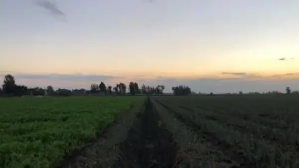 تقويم الشتاء.. موعد دخول أيام الكوالح والصوالح وفترات البرد الشديدة في الدول العربية