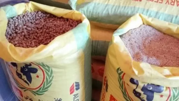 تمديد رسوم الصادر على مكونات الأعلاف لمدة عام يعيد صياغة قطاع الاستثمار الزراعي