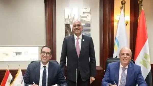 تمويل المشروعات المتناهية الصغر بتمويل 300 مليون جنيه من جهاز تنمية المشروعات