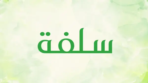 تمويل سلفة للمواطنين السعوديين 2025: الحصول على 20,000 ريال بسهولة وشروط مرنة للسداد